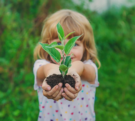 Our trees are not just numbers